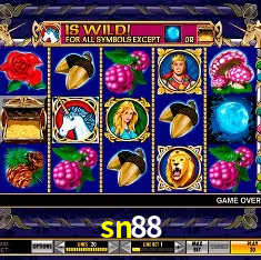 Descubra o Mundo do Cassino Online com sn88